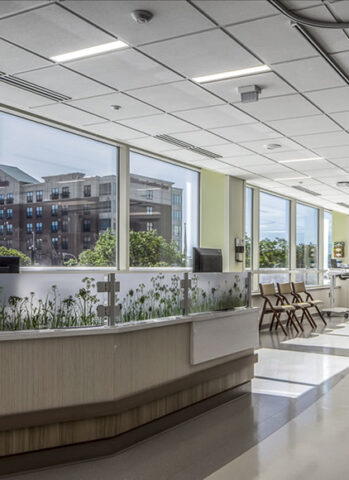 Albany Medical Center Apheresis Dialysis Infusion and Treatment Center